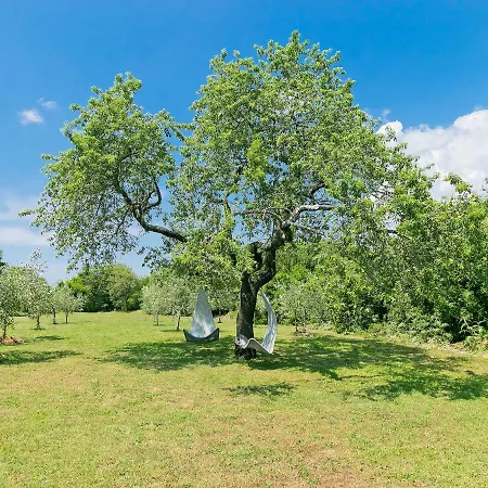 Kapetanova